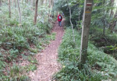 Tocht Stappen Fontaine-la-Mallet - Le Havre:  Forêt de Montgeon  variante N°4 - Photo