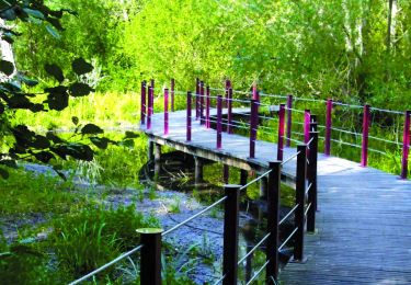 Trail Walking Meaux - Meaux :Gare>Patis>Cathedrale> Gare - Photo