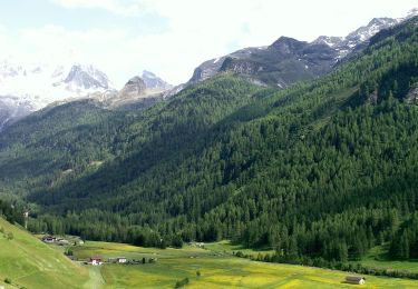 Tour Zu Fuß Sand in Taufers - Durreck Höhenweg - Photo