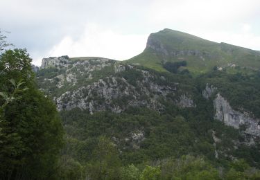 Tour Zu Fuß Stazzema - IT-137 - Photo