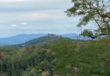 Trail Walking Égliseneuve-près-Billom - Château de Montmorin - Photo