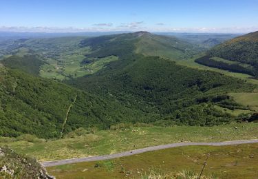 Trail Walking Le Falgoux - Puy mary  - Photo