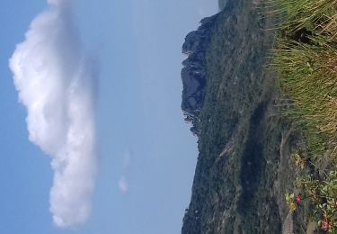 Tour Zu Fuß Buis-les-Baronnies - Fontaine des Marins - Photo