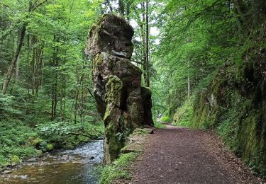 Trail Walking Vagney - 03-07-21 Vagney - roche du Mettey- saut du bouchot - Photo