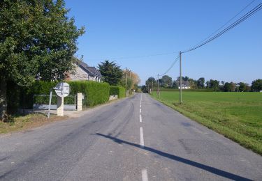 Excursión A pie Guichen - Les bords de Vilaine - Photo