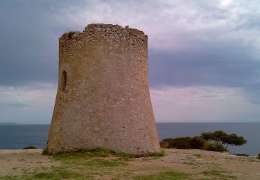 Randonnée A pied Banyalbufar - Camí de sa Volta des General - Photo