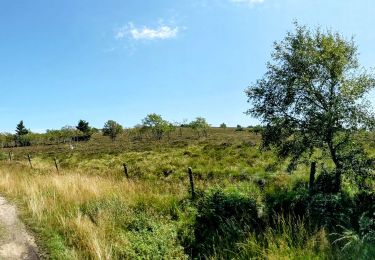 Tour Wandern Chalmazel-Jeansagnière - col de la loge 9,5 km - Photo