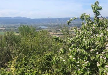 Randonnée Marche La Garde-Adhémar - Le Val des Nymphes  - Photo