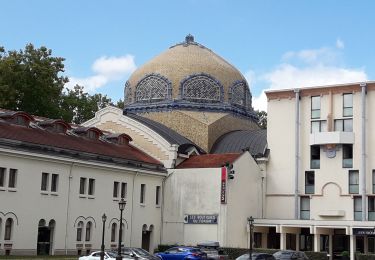 Randonnée Marche Vichy - vichy Historique  - Photo