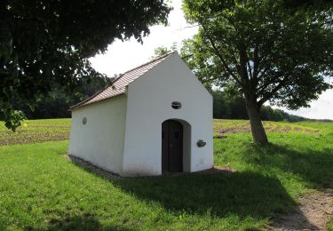 Excursión A pie Pfreimd - Eixlberg Rundweg 1 - Photo