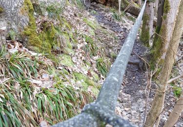 Tocht Stappen Stavelot - 2021-03-10_14h59m08_1227 - Photo