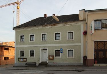 Excursión A pie Hofkirchen im Mühlkreis - Wasserfallrunde - Photo