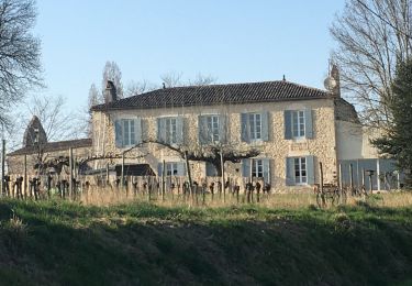 Randonnée Marche Villeneuve-de-Duras - Saint leger - Photo