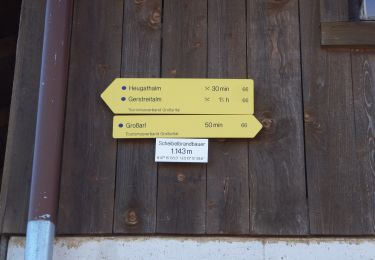 Trail On foot Großarl - Schiedstein Höhenweg - Photo