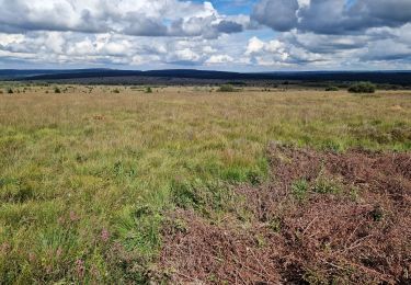 Tocht Stappen Waimes - Fagnes sept 2023 - Photo