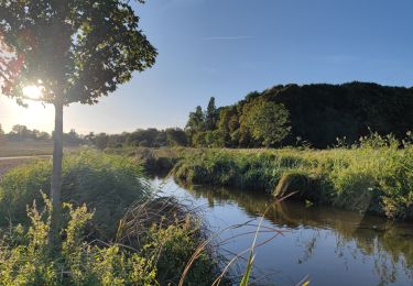 Tocht Mountainbike Les Clayes-sous-Bois - bougie des Clayes a Versailles, st nom la bretèche et Rennemoulins - Photo