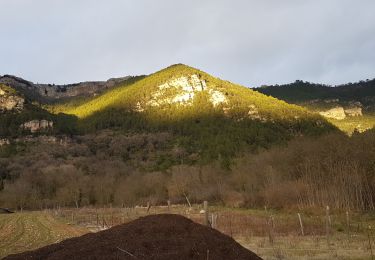 Tocht Noords wandelen Saint-Étienne-de-Gourgas - Cirque du Bout du Monde - Photo