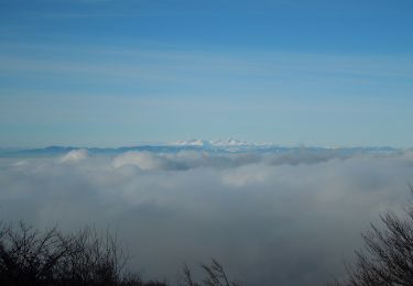 Tour Zu Fuß okres Vranov nad Topľou - Hermanovský turistický okruh - Photo