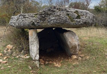 Tour sport Lentillac-du-Causse - Lentillac boucle  - Photo