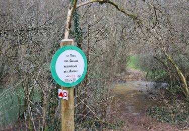 Tour Wandern Crézilles - la deuille résurgences départ ochey - Photo