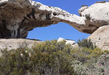 Trail Walking La Ciotat - Dent du chat la Ciotat - Photo