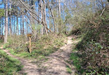 Trail Walking Chaumont-Gistoux - GS 2025_05_04 Hauts-Champs Livr.2/3e Définitif - Photo