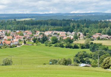 Randonnée A pied Egenhausen - Altensteig-Egenhauser Kapf - Photo