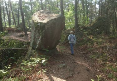 Tocht Stappen Fontainebleau - butte à guay - Photo