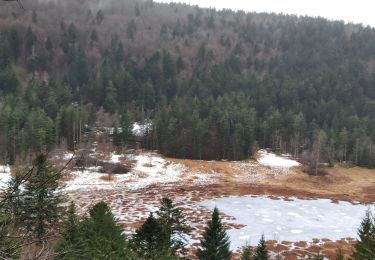 Trail Walking Wildenstein - Vosges 2020 : col de Bramont - Rainkopf (2020-12-20).ori - Photo