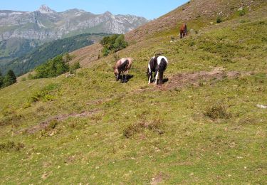 Percorso Marcia Aydius - Lac du Montagnon - Photo