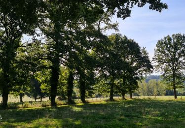 Tour Wandern Le Vigen - boissac les places - Photo