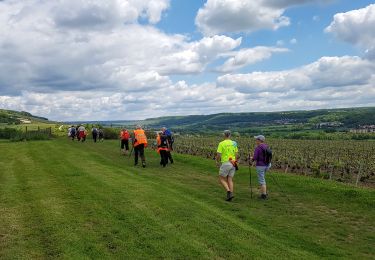 Trail Walking Château-Thierry - Château-Thierry du 27-05-2021 - Photo