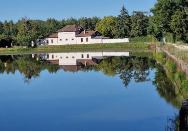 Percorso Marcia Bléneau - Bleneaux 89 - Photo