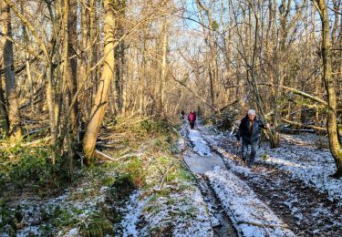 Trail Walking Essômes-sur-Marne - Essômes sur Marne du 11-01-2024 - Photo