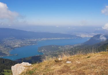 Tour Wandern Talloires-Montmin - BORNES: LA TOURNETTE - Photo