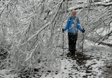 Tour Wandern Bastnach - Ravel Sibret - Photo