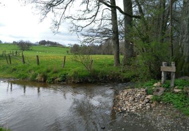 Tour Wandern Geilich - Bovigny 