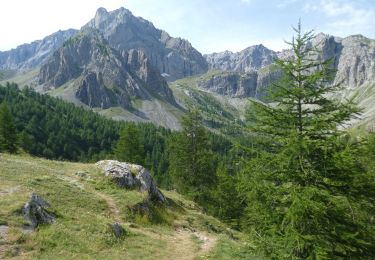 Trail Walking Acceglio - ponte maira lac apzoi - Photo