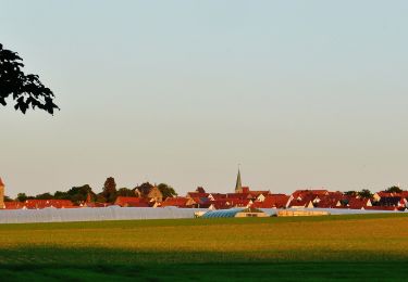 Randonnée A pied Eberdingen - Rundwanderweg 1, Sonnenberg, Start Sportplatz Nussdorf - Photo