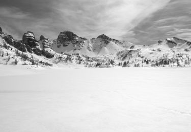 Tocht Stappen Allos - Lac d'Allos - Photo