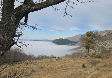 Trail Walking Coursegoules - Coursegoule, Sommets Vierou et Prêt  - Photo