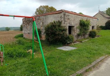 Tocht Stappen Courpalay - Courpalay  - Photo