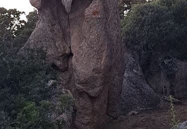 Tour Wandern Serra-di-Ferro - Sentier côtier de Porto Pollo - Photo