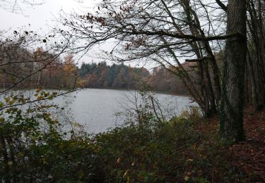 Percorso Marcia Villedômer - la Grand'Vallée - Saint-Laurent-en-Gâtines via PRs - 26.8km 225m 5h35 (35mn) - 2022 12 03 - Photo