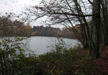 Randonnée Marche Villedômer - la Grand'Vallée - Saint-Laurent-en-Gâtines via PRs - 26.8km 225m 5h35 (35mn) - 2022 12 03 - Photo