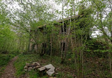 Trail On foot Saint-Gervais-d'Auvergne - Les Gorges de la Sioule - Photo