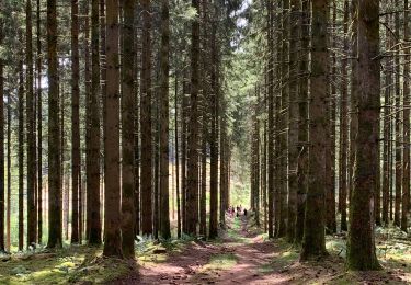 Tour Wandern Neufchâteau - Challenge marches chestrolaises Grandvoir 2020 - Photo