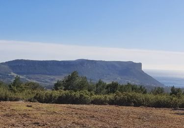 Randonnée Marche Carnoux-en-Provence - Carnoux le vallon des Anglais - Photo