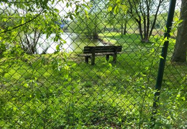 Tocht Stappen Sainte-Ode - BeauPlateau - Photo