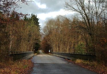 Randonnée A pied Sindelfingen - DE-SAV Roter Punkt, Musberg - Römer-/Panzerstraße - Photo